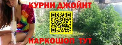 прущие грибы Кандалакша