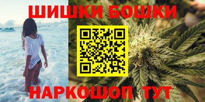 прущие грибы Кандалакша
