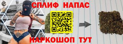прущие грибы Кандалакша
