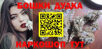 прущие грибы Кандалакша