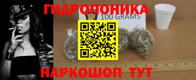 прущие грибы Кандалакша