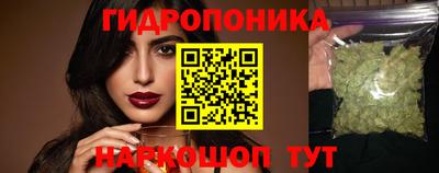 прущие грибы Кандалакша
