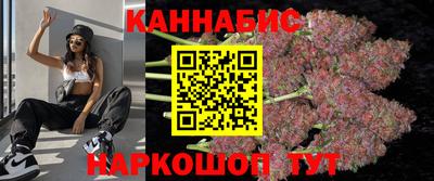 прущие грибы Кандалакша