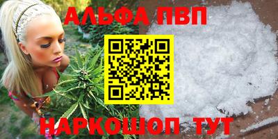 прущие грибы Кандалакша
