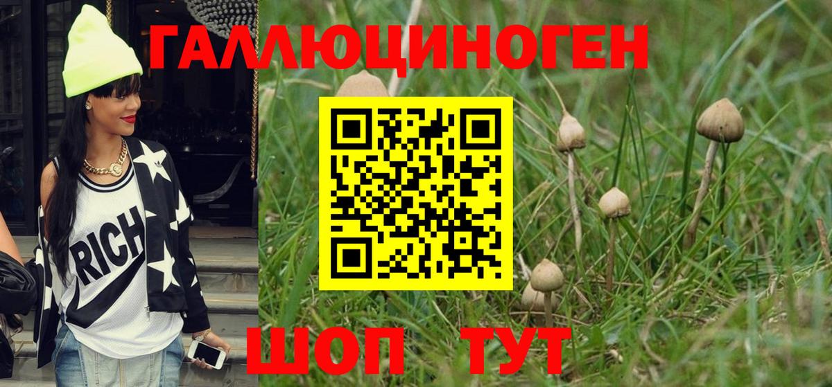 Псилоцибиновые грибы ЛСД  Псилоцибиновые грибы мицелий  Красноярск  Вход с VPN 